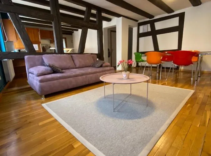 Appartement Spacieux - Coeur Historique De La Ville