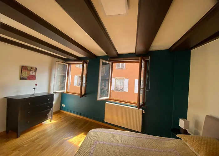 Appartement Spacieux - Coeur Historique De La Ville