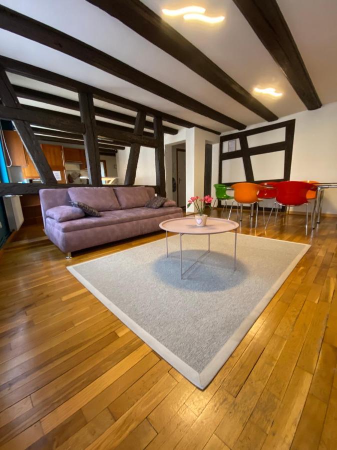 Spacieux - Coeur Historique De La Apartment Barr