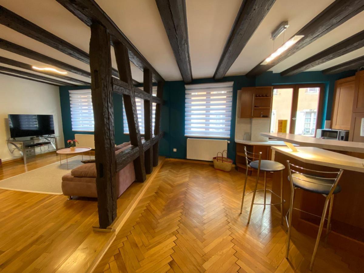 Apartment Spacieux - Coeur Historique De La *